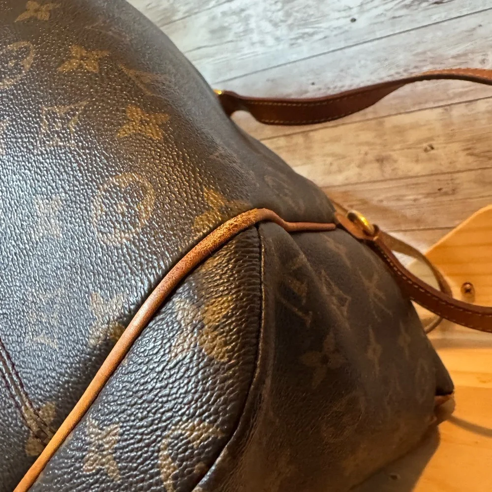 Louis Vuitton authentic louis